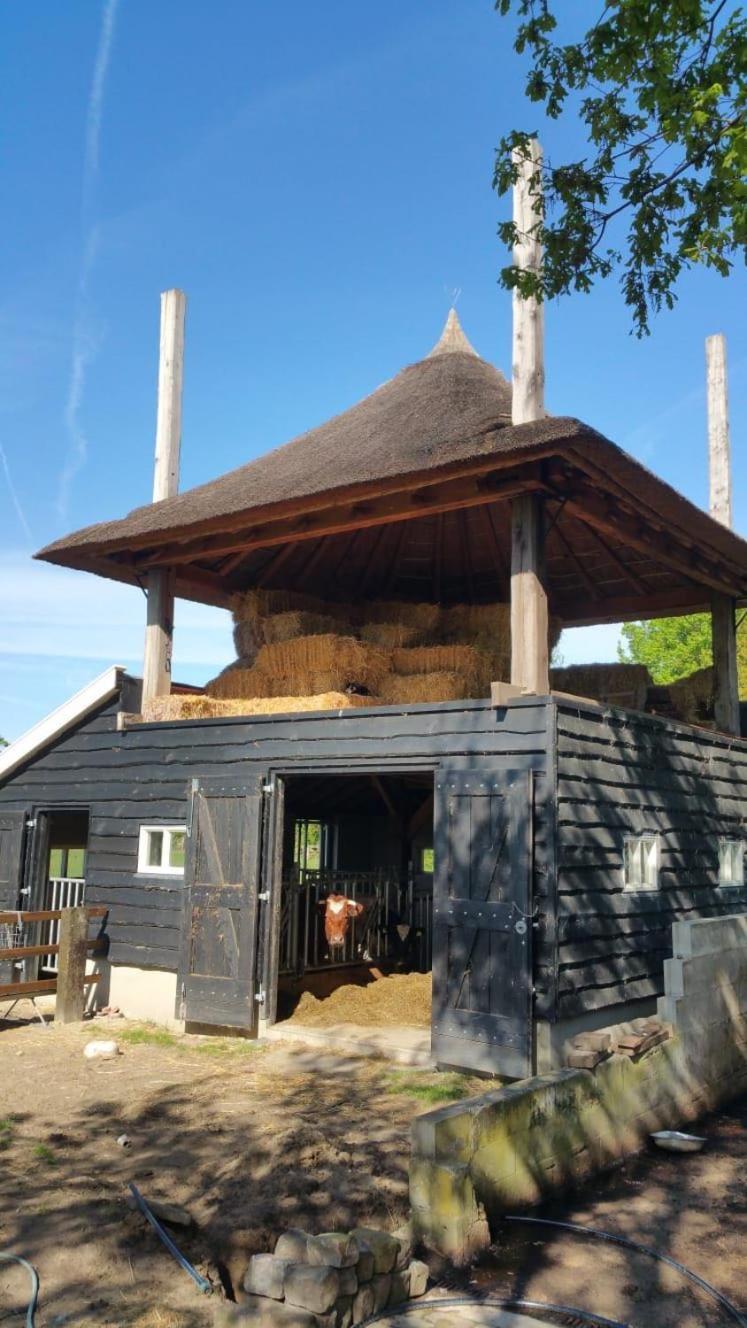 Bed and Breakfast Landgoed Groot Boerle Wijhe Экстерьер фото