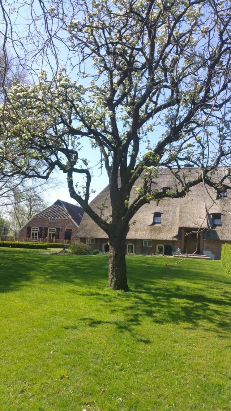 Bed and Breakfast Landgoed Groot Boerle Wijhe Экстерьер фото