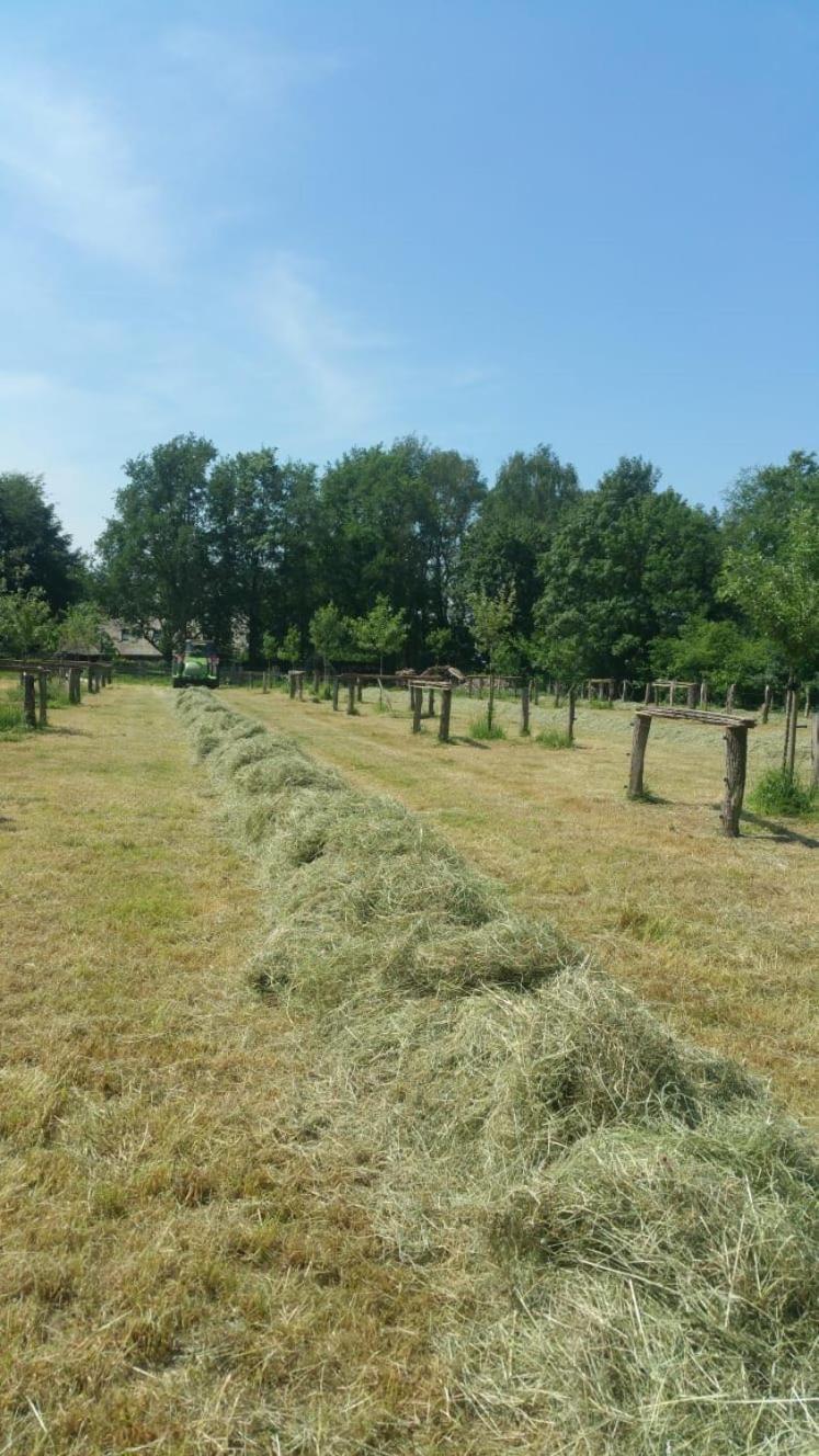 Bed and Breakfast Landgoed Groot Boerle Wijhe Экстерьер фото